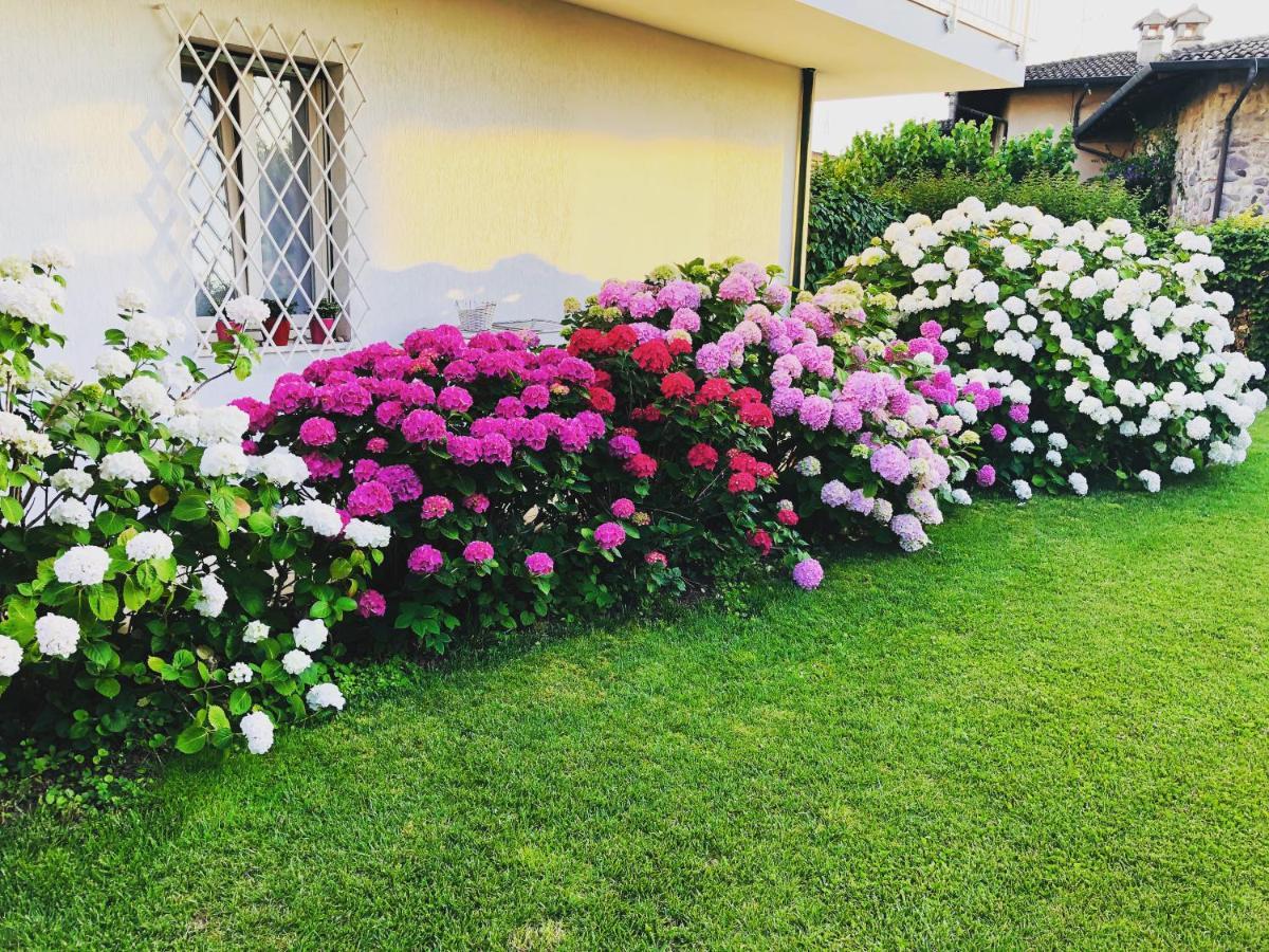 Bed And Breakfast Da Beatrice Sirmione Exterior foto